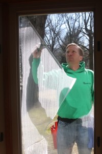 Professional Window Cleaning